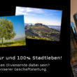 Die Stadtleben GmbH bei der Olivenernte 2017 in Italien Die Stadtleben GmbH bei der Olivenernte 2017 in Italien